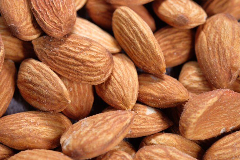 Oléagineux, amandes
