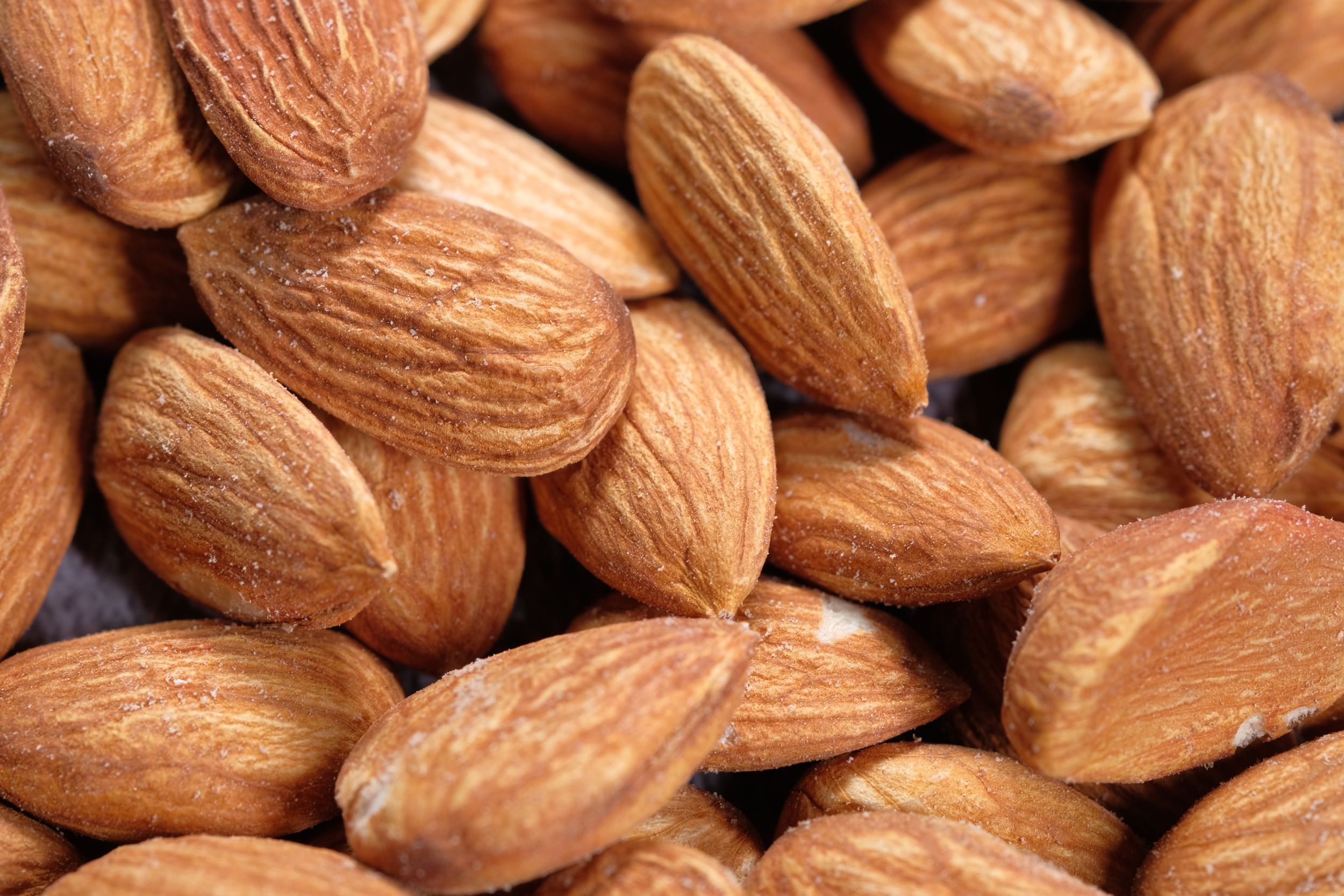 Oléagineux, amandes