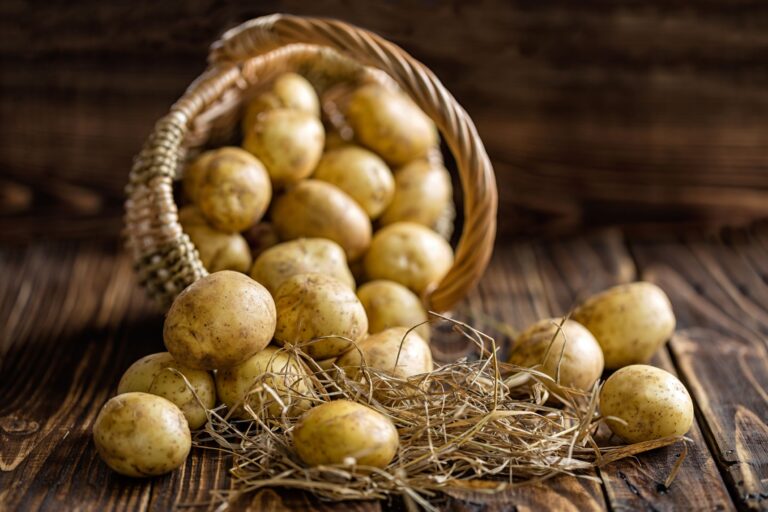 Utilisation de la pomme de terre dans un régime